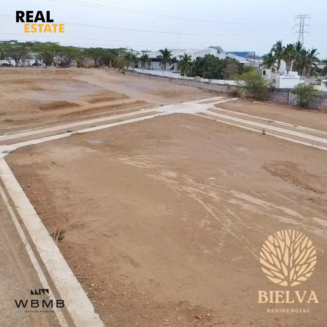 Lotes y calles trazadas en Bielva