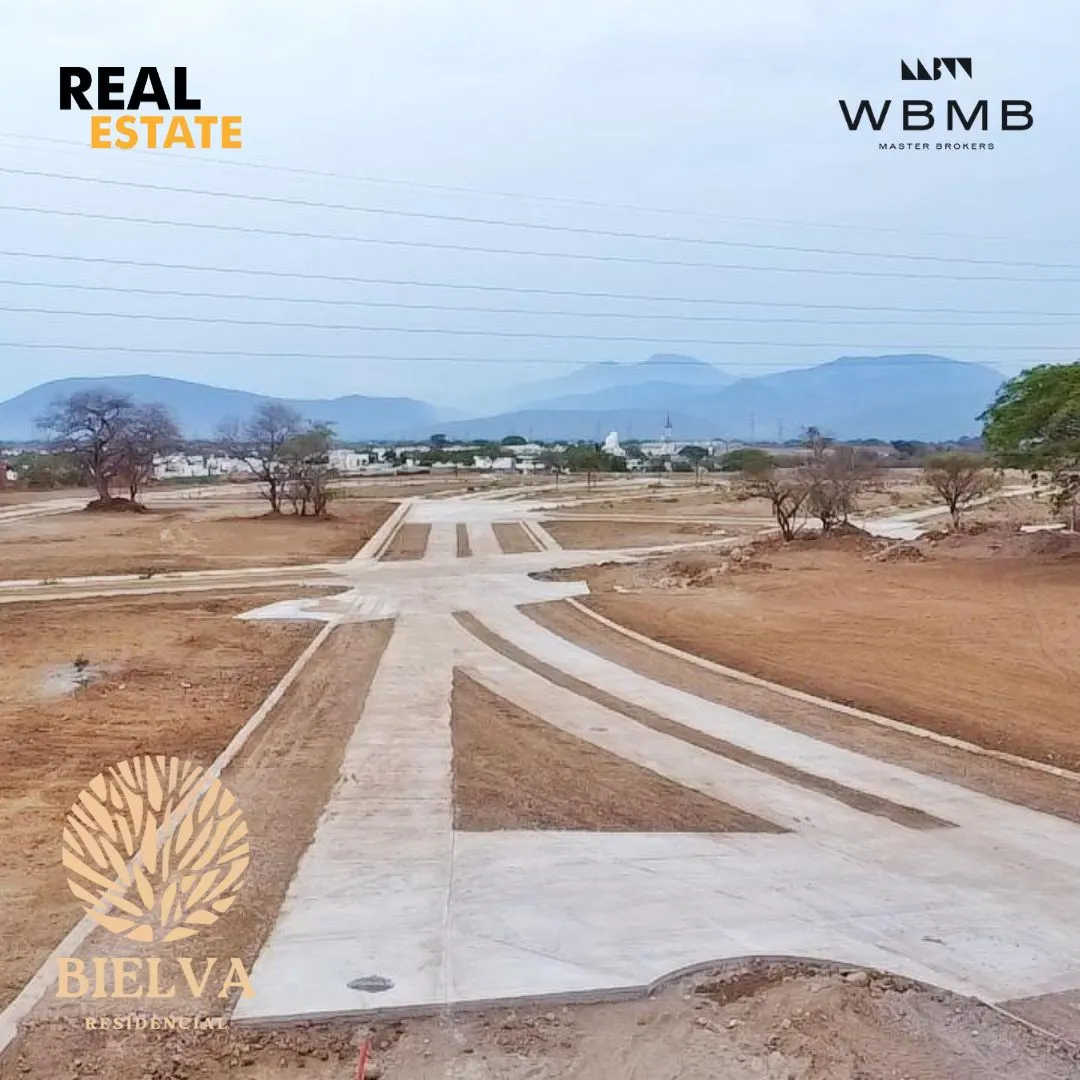 Vista aérea de una calle principal de Bielva
